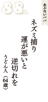 あぶないパパ「ネズミ捕り　運が悪いと　逆切れを」（うどん人　64歳）