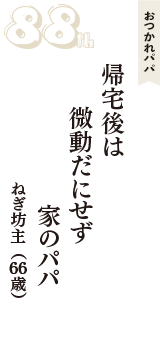 おつかれパパ「帰宅後は　微動だにせず　家のパパ」（ねぎ坊主　66歳）