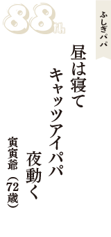 ふしぎパパ「昼は寝て　キャッツアイパパ　夜動く」（寅寅爺　72歳）