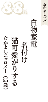 なかよしパパ「白物家電　名付け　猫可愛がりする」（なかよしニャロメ！　55歳）