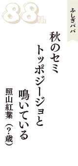 ふしぎパパ「秋のセミ　トッポジージョと　鳴いている」（照山紅葉　？歳）