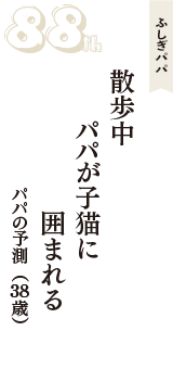 ふしぎパパ「散歩中　パパが子猫に　囲まれる」（パパの予測　38歳）