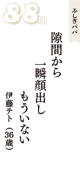 ふしぎパパ「隙間から　一瞬顔出し　もういない」（伊藤テト　36歳）