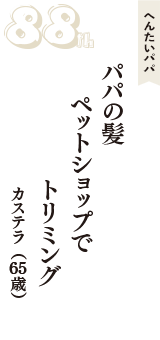 へんたいパパ「パパの髪　ペットショップで　トリミング」（カステラ　65歳）