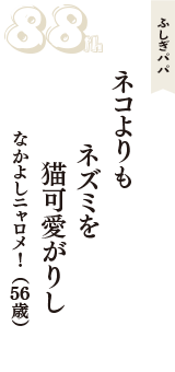 ふしぎパパ「ネコよりも　ネズミを　猫可愛がりし」（なかよしニャロメ！　56歳）