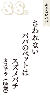 あぶないパパ「さわれない　パパのペットは　スズメバチ」（カステラ　65歳）