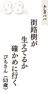 ふしぎパパ「街路樹が　生えてるか　確かめに行く」（ぴちさん　53歳）