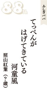 ふしぎパパ「てっぺんが　はげてきている　河童風」（照山紅葉　？歳）