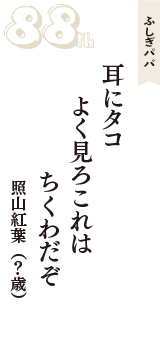 ふしぎパパ「耳にタコ　よく見ろこれは　ちくわだぞ」（照山紅葉　？歳）
