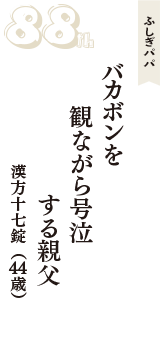 ふしぎパパ「バカボンを　観ながら号泣　する親父」（漢方十七錠　44歳）
