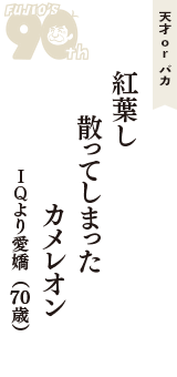 天才 ｏｒ バカ「紅葉し　散ってしまった　カメレオン」（ＩＱより愛嬌　70歳）