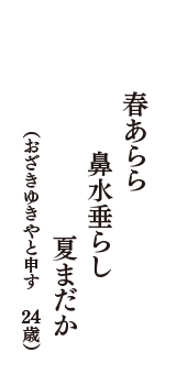 春あらら　鼻水垂らし　夏まだか　（おざきゆきやと申す　24歳）