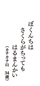 ぼくんちは　さくらがちっても　はるまんかい　（カチカチ山　34歳）