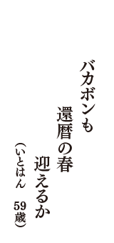 バカボンも　還暦の春　迎えるか　（いとはん　59歳）