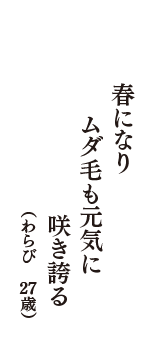 春になり　ムダ毛も元気に　咲き誇る　（わらび　27歳）