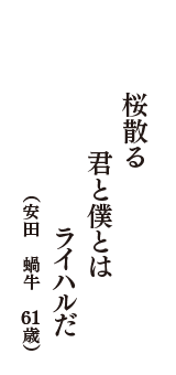 桜散る　君と僕とは　ライハルだ　（安田　蝸牛　61歳）