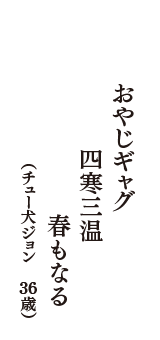 おやじギャグ　四寒三温　春もなる　（チュー犬ジョン　36歳）