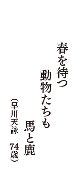 春を待つ　動物たちも　馬と鹿　（早川天詠　74歳）