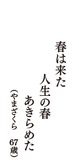 春は来た　人生の春　あきらめた　（やまざくら　67歳）