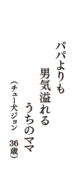 パパよりも　男気溢れる　うちのママ　（チュー犬ジョン　36歳）