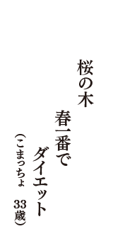 桜の木　春一番で　ダイエット　（こまっちょ　33歳）