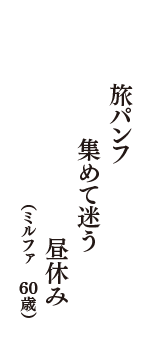 旅パンフ　集めて迷う　昼休み　（ミルファ　60歳）