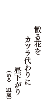 散る花を　カツラ代わりに　昼下がり　（める　21歳）