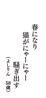 春になり　猫がにゃーにゃー　騒ぎ出す　（よしりん　58歳）