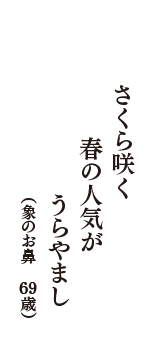 さくら咲く　春の人気が　うらやまし　（象のお鼻　69歳）