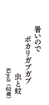 暑いので　ポカリガブガブ　虫と蚊　（Kiyo3　62歳）