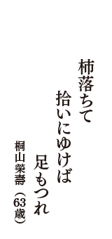 柿落ちて　拾いにゆけば　足もつれ　（桐山榮壽　63歳）