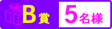 B賞 5名様
