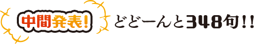 中間発表！　どどーんと348句！！